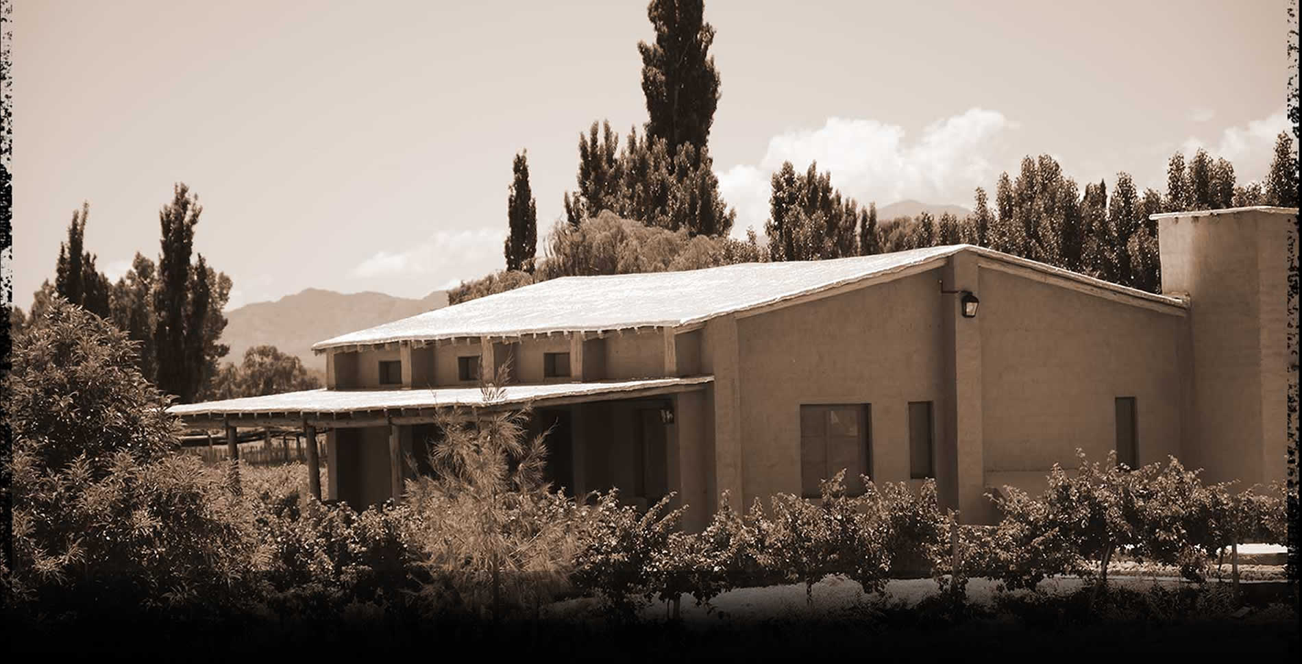 Bodega Entre Tapias